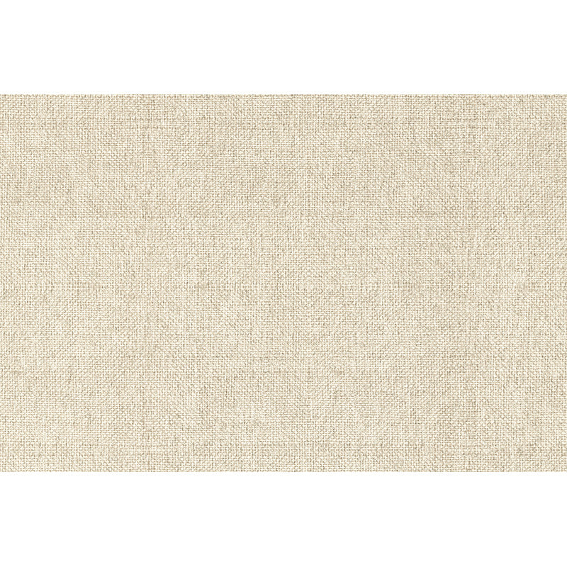 Solid Color Waterproof Carpet – 2025 Luxury Loop Pile Rug