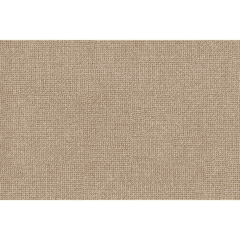 Customizable Imitation Sisal Entrance Rug – Waterproof & Dust-Resistant Door Mat