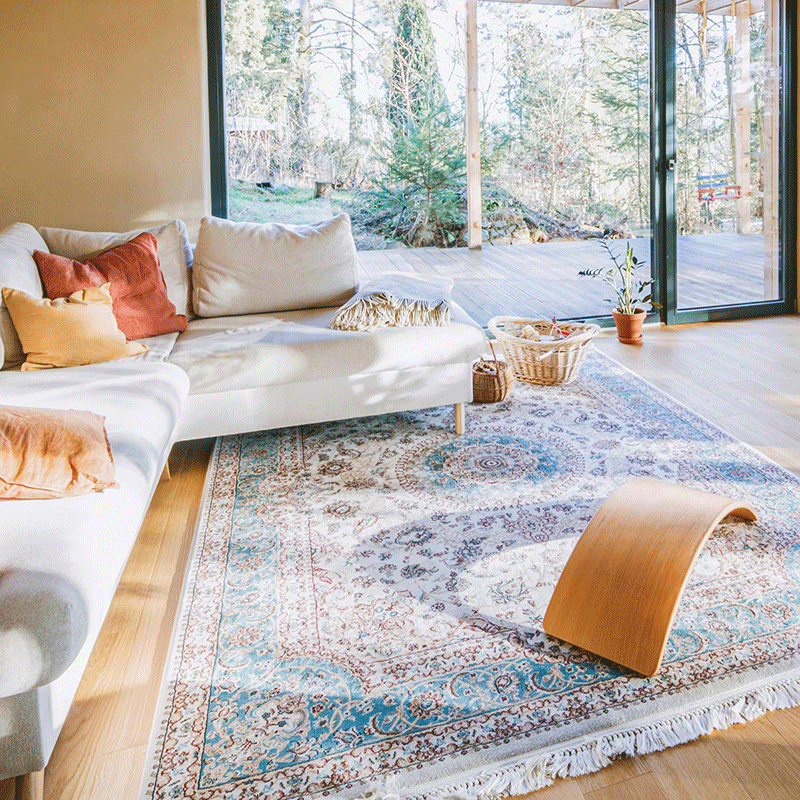 Living Room Rugs