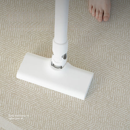 2025 Modern Minimalist Rug – Waterproof, Easy-Care Rug