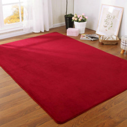 Solid Color Thick Coral Velvet Modern Crawling Living Room Area Rug