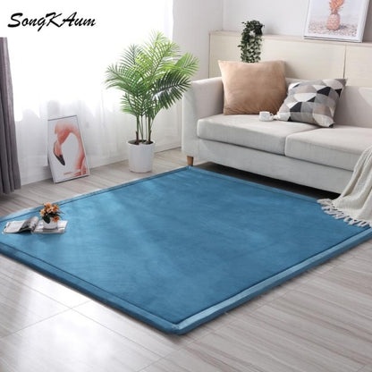 Coral fleece Thicken Large Rug Solid simple child Non-slip Rug