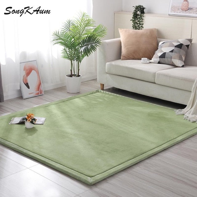 Coral fleece Thicken Large Rug Solid simple child Non-slip Rug