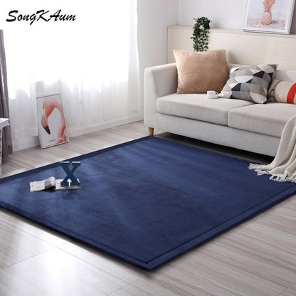 Coral fleece Thicken Large Rug Solid simple child Non-slip Rug