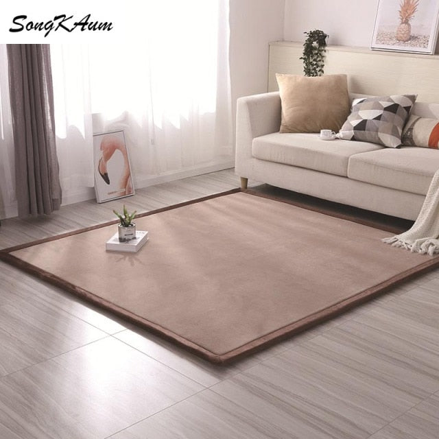 Coral fleece Thicken Large Rug Solid simple child Non-slip Rug