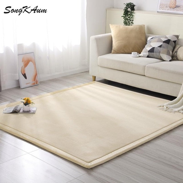 Coral fleece Thicken Large Rug Solid simple child Non-slip Rug