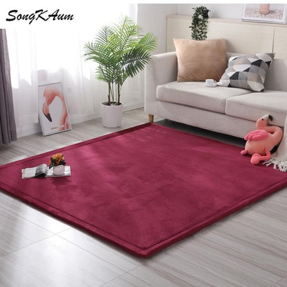 Coral fleece Thicken Large Rug Solid simple child Non-slip Rug