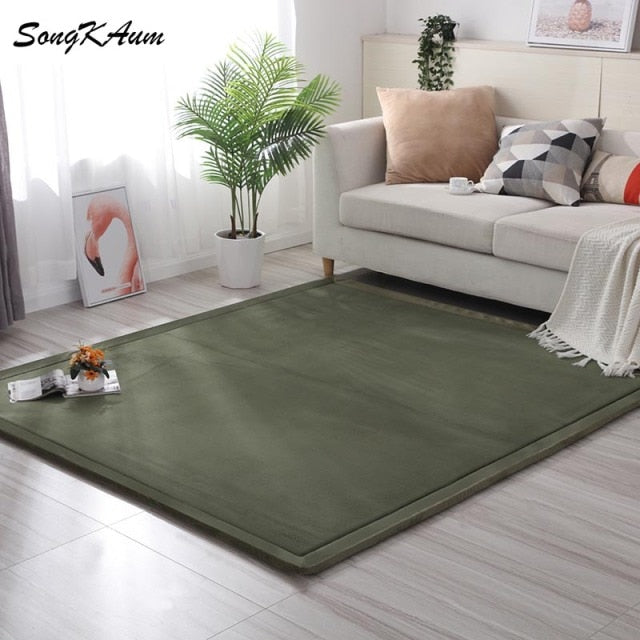 Coral fleece Thicken Large Rug Solid simple child Non-slip Rug