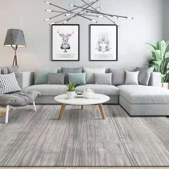 Modern Living Room Rug Room Decor Home Decoration Rug